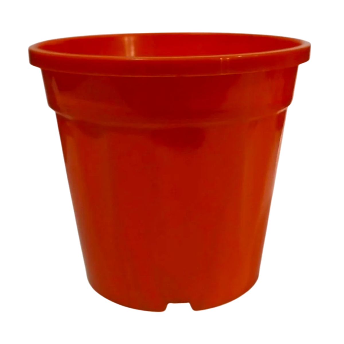 5.5" Pune Nursery Pot